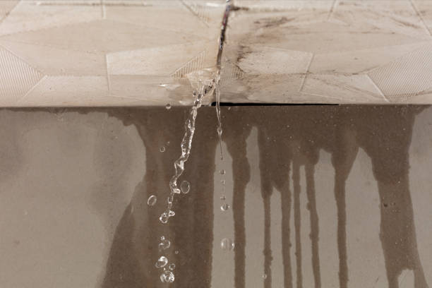 Professional Burst Pipe Cleanup technician working in Elmore, MN